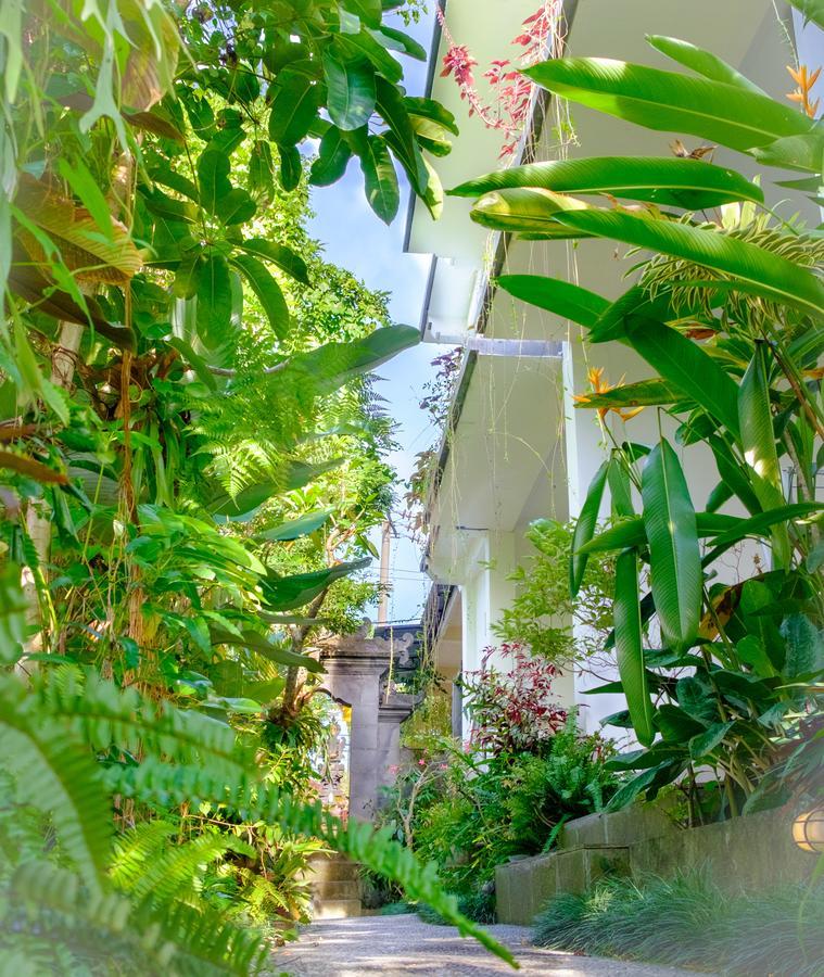 Semujan Bungalow 우붓 외부 사진